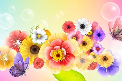 Color Of Beauty >> HD Wallpaper, Get It Now!