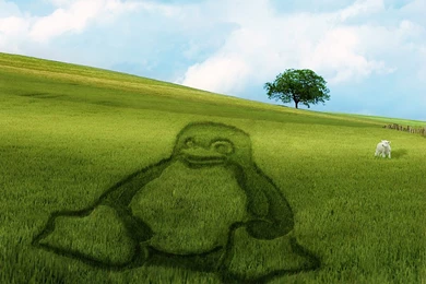 Nature Linux Grass Tux