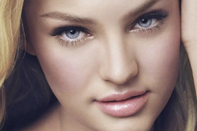 Love Rose Wallpapers