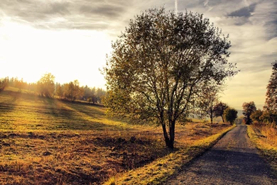 Cool Photography Desktop Backgrounds: Country High Definition ...