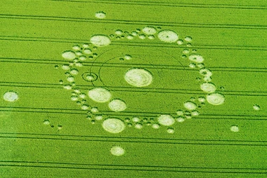Crop Circles