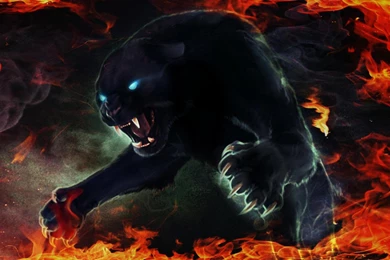 FIRERY BLACK PANTHER WALLPAPER (
