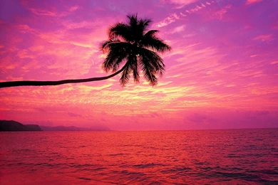 Pink Nation Wallpapers   5 Items