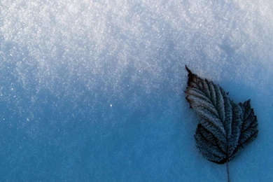 HD Snow Wallpapers And Photos