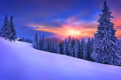 Snow Wallpapers   Android Apps On Google Play
