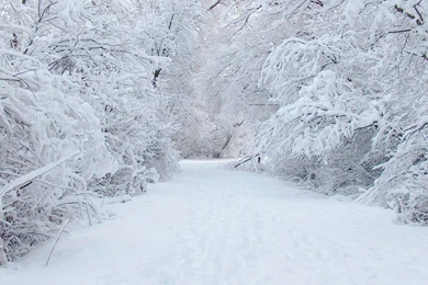 Winter Snow Wallpapers HD
