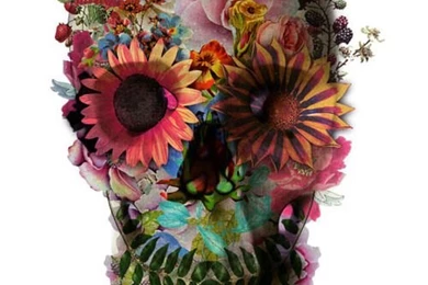 Sugar Me Some Skulls :) On Pinterest