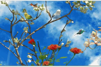 Birds Of Nature 3D Download