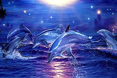 Wallpapers Pink Dolphin Tropical Starlight Dolphins Sea Stars ...