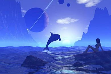 Animals Dolphins Aquatic 1024x768 Wallpapers – Animals Dolphins HD ...