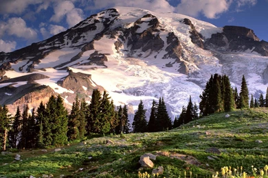 Mount Rainier Wallpapers