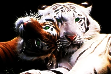 Tiger Wallpapers Hd 1080p 3D