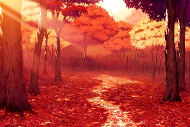 Drawing, Artwork, Fall, Leaves, Sunlight, Forest, Red, Anime ...
