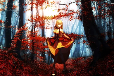 Girl In The Autumn Forest Wallpapers   971948