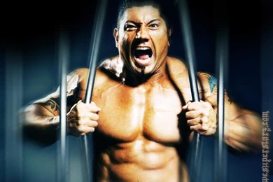 Wwe Superstar Wallpapers