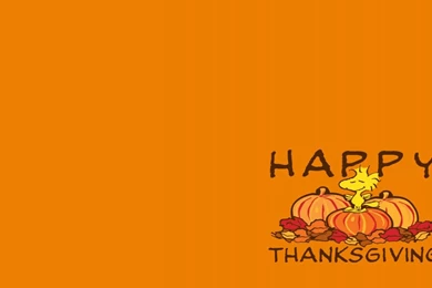 Thanks Giving HD Wallpapers