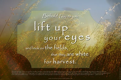 Anti Religious Wallpaper Backgrounds