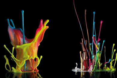 Trend Decoration Paint Wallpapers Stores