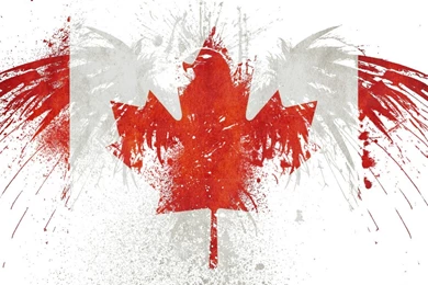 Wallpapers Paint Hawk Vga Wvga Apple Facebook Covers Phone Dual ...