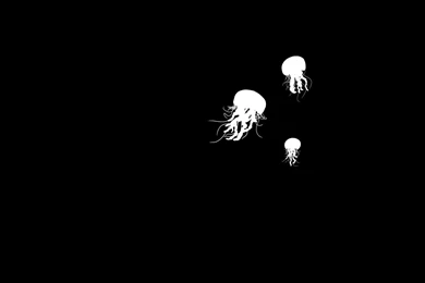 Black And White Xkcd Jellyfish Wallpapers