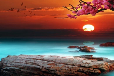 Sky Bright Sunset Desktop Backgrounds 333087 : Wallpapers13.com