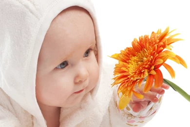 Fondos De Pantalla Bebe : Todos Los Wallpapers Bebe