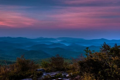 Savoring The Wildlife On Grandfather Mountain