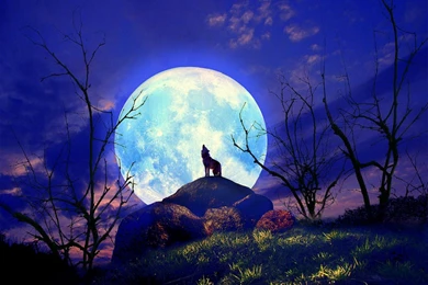 Moon High Quality Wallpapers With High Resolution   Mbagusi.com