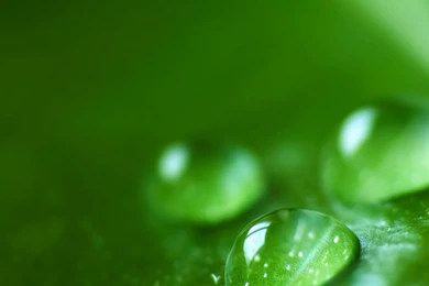 Super High Detail Water Droplets   HD Wallpapers