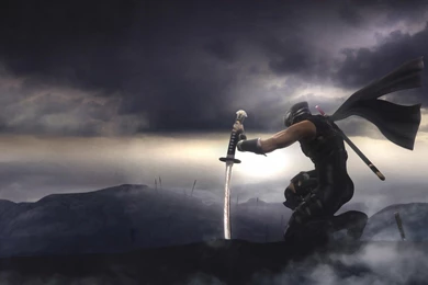 Wallpapers Desktop Ninja Gaiden 2 Wallpapers