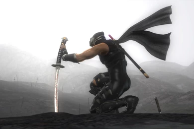 Ninja Gaiden 2 HDTV