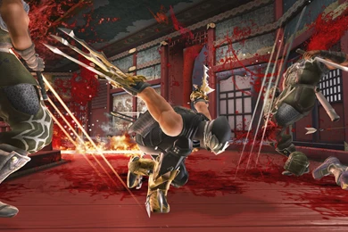 Ninja Gaiden 2