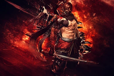 Ninja Gaiden 3 Wallpapers