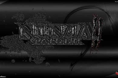 Ninja Gaiden2