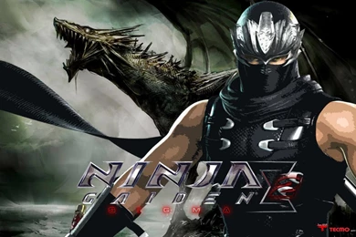 Ninja Gaiden Sigma 2 Black Dragon Wallpapers By Sunnyboiiii ...