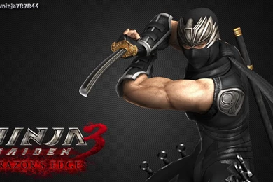 Ninja Gaiden II Wallpapers By ArRoW 4 U On DeviantArt