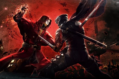 Fragment From Ninja Gaiden 3 1920x1080px