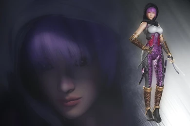 Ninja Gaiden Wallpapers By Phreaky2007 On DeviantArt