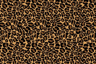 Cheetah Print Wallpapers Cool M1B » WALLPAPERUN.COM