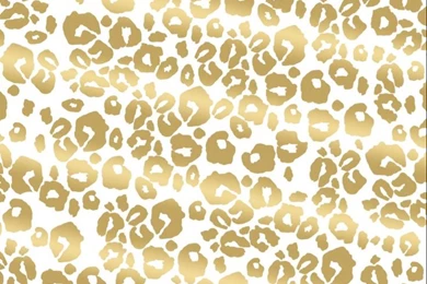 Cheetah Print Wallpapers Top L7A » WALLPAPERUN.COM