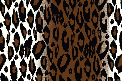 Cheetah Print Wallpapers High Quality I2U » WALLPAPERUN.COM