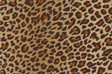 Cheetah Print Wallpapers Awesome TF2 » High Definition Wallpapers