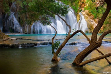 Desktop Download Free Hd Nature Wallpapers