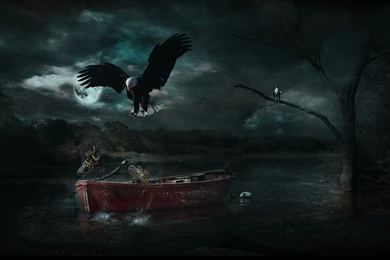 Adobe Photoshop HD Wallpapers,Widescreen Hd Desktop Backgrounds