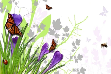 Visiontechbrain: Free Wallpapers :: Flower Bugs