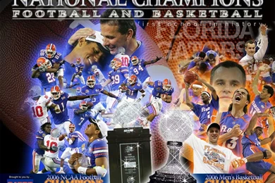 Wallpapers Florida Gators Gator Football Discussions 1024x768 ...