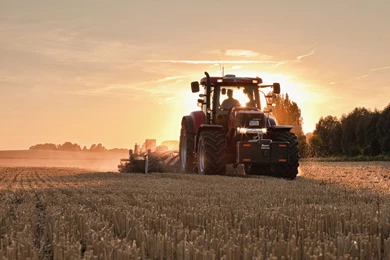 Wallpapers Case Ih
