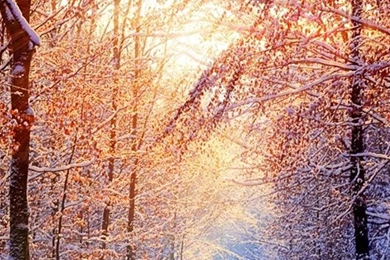 Top Winter Iphone 5 HD Wallpapers