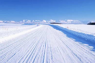 Winter Wallpapers   Free Download Winter Snowy Road HD Wallpapers ...