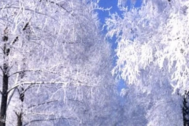 Galaxy S3 Wallpapers HD   Beautiful, Stunning Wallpapers